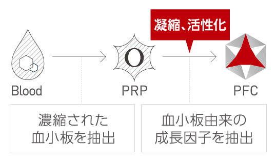 肌が若返る!?豊富な成長因子(GF)とその作用