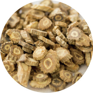 防風(ボウフウ)