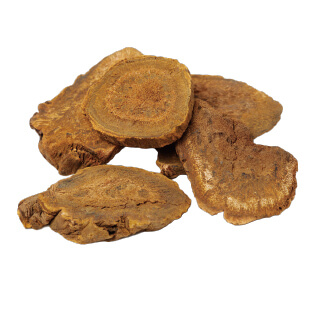 大黄(ダイオウ)