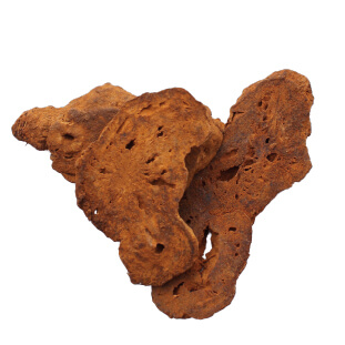 白朮(ビャクジュツ)