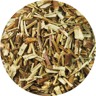 荊芥(ケイガイ)