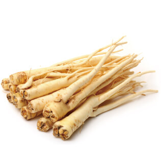 桔梗(キキョウ)