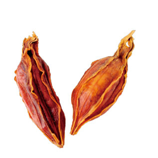 山梔子(サンシシ)