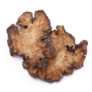 川芎(センキュウ)