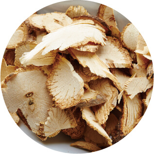 木通(モクツウ)