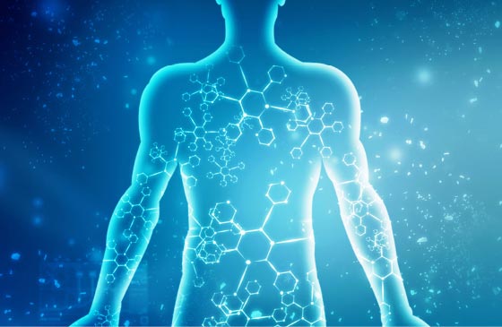 全身に作用し機能回復に導く