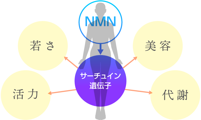 Clinience飲む点滴 リポソームNMN 9000㎎(150㎎×60包）